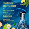 Febreze Touch Fabric Spray, Air Freshener, Odor-Fighting Fabric Refresher, Couch and Linen Spray, Sneaker Balls Alternative, Ocean and Mountain Scent, Multicolor, 16.9oz, 2ct(Ocean + Mountain)